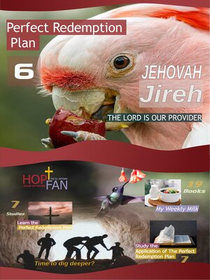 cover image of Perfect Redemption Plan 6